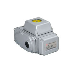 electric actuator